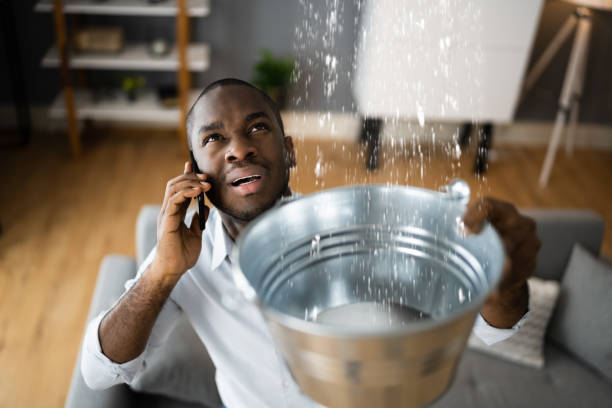 Best Water damage restoration specialists  in Berry Creek, CA