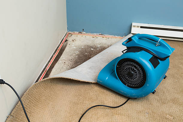 Best Water damage cleanup near me  in Berry Creek, CA